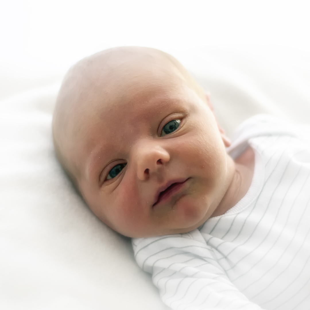 BV portret Arthur